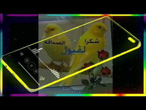 جمل تصميم نغمات يمه يمه جمالك ترالك يمه 