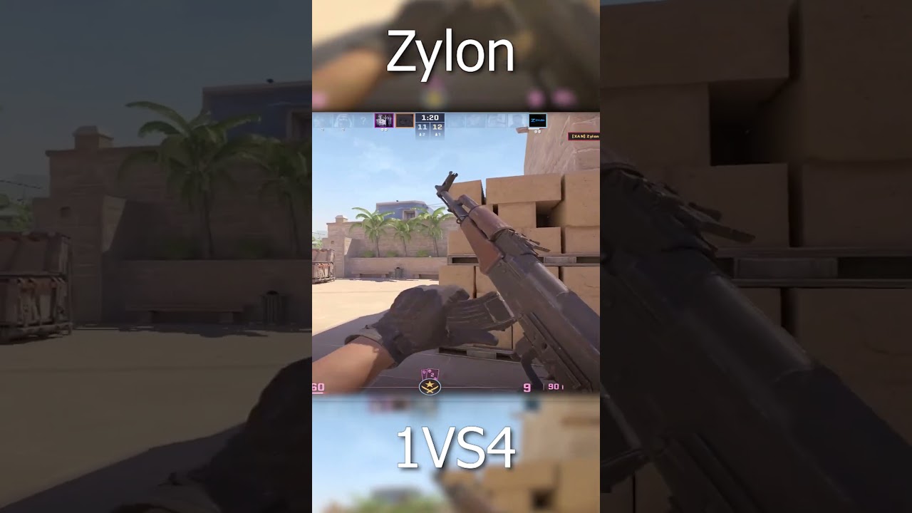 Zylon 1VS4 CS2  