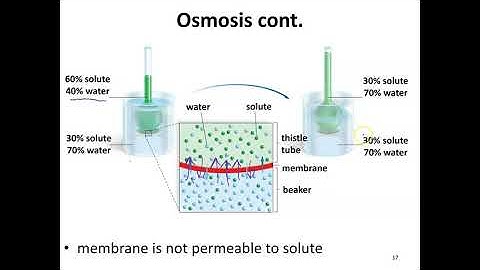 Chapter 4 part 4 BIO101 mader