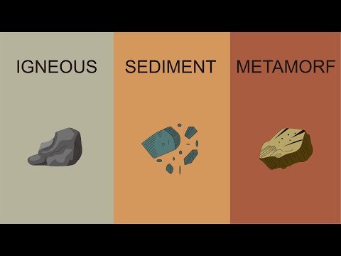 Video: Apa tiga jenis metamorfosis?