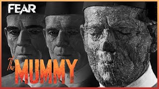 The Curse Is Broken (Final Scene) | The Mummy (1932)