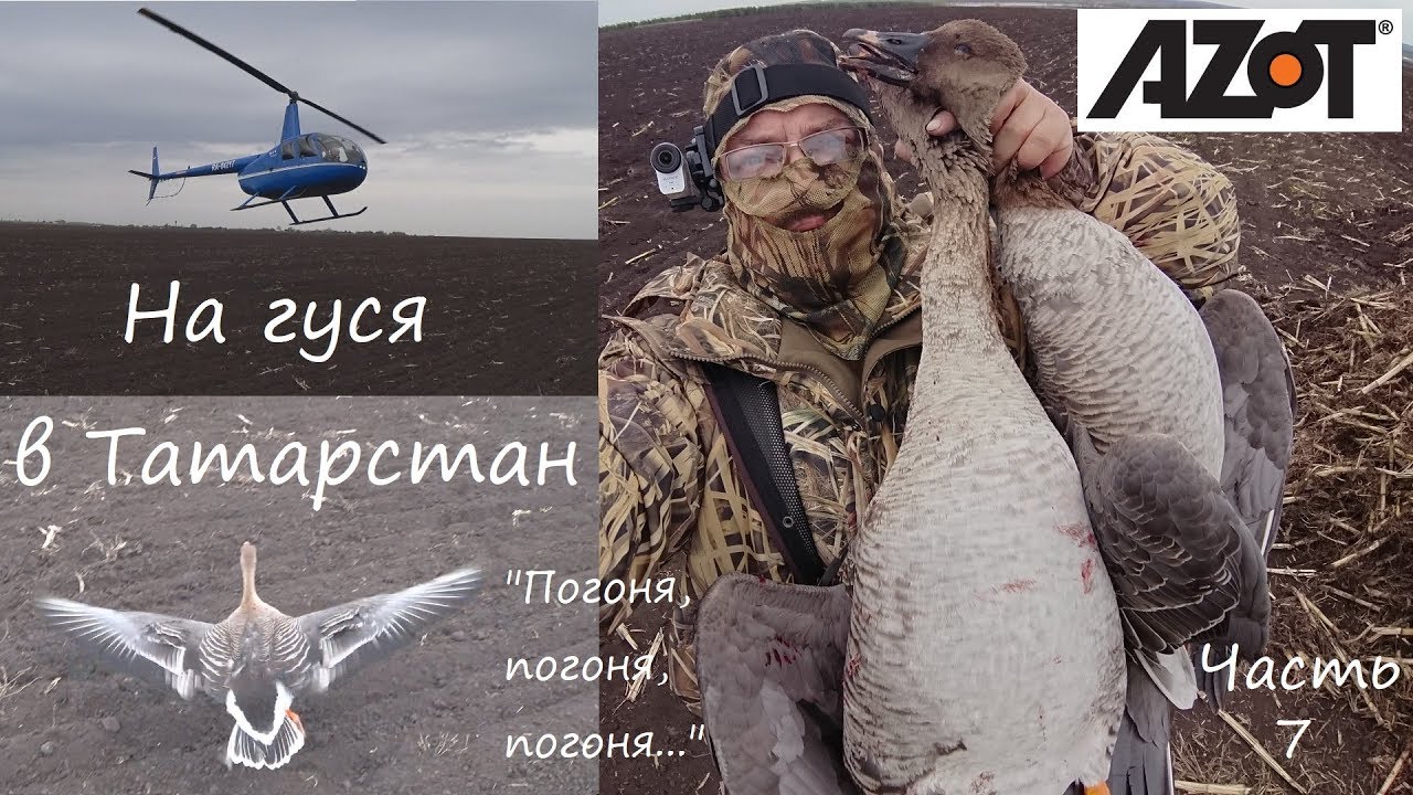 Почему волги гниют