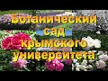 Ботанический сад КФУ