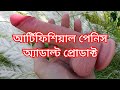 Realistic Dildo Review Bangla | ডিলডো রিভিউ | কৃত্রিম লিঙ্গ | Adult Product BD