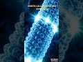 Memristive Microtubules: The Brain's Hidden Memory 💙