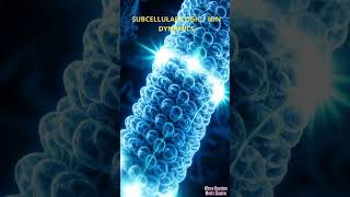 Memristive Microtubules: The Brain's Hidden Memory 💙