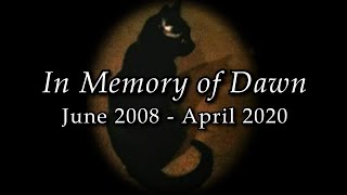 In Memory of Dawn