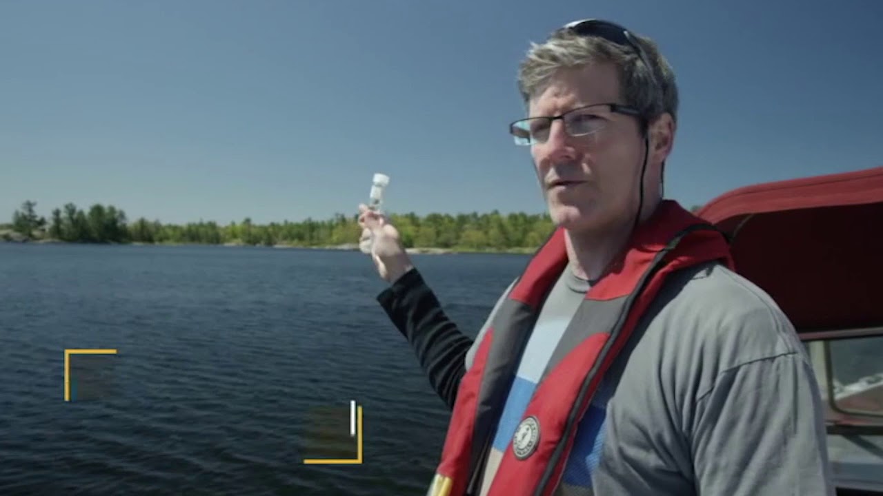 The Fish of Georgian Bay