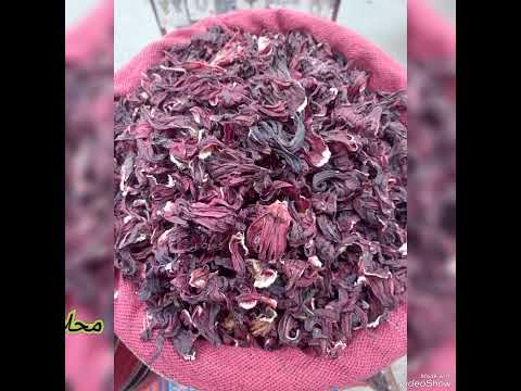 ياميش رمضان وكل عام وانتم بخير محلات احمد راشد العطار الإسماعيلية شارع سعد زغلول والمدينه المنوره