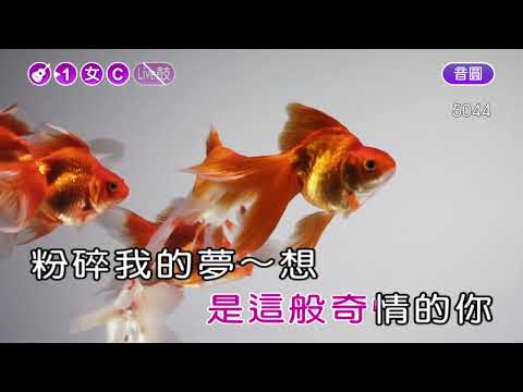 海上花~甄妮~女C調~伴奏~導唱丙