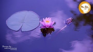 Nhạc Thiền Tĩnh Tâm - Xóa Tan Muộn Phiền ưu tư trong cuộc sống, nhẹ nhàng thư giãn