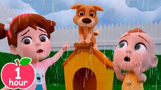 Rain Rain Go Away Song | Newborn Baby Songs & Nursery Rhymes