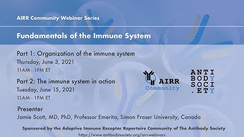 AIRR-C Webinar:  Fundamentals of the immune system Part I