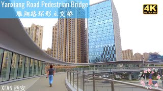 倫 高橋 Naoko Takahashi] Q-chan's Q-chan is standing - YouTube