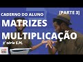 [AULA 3] CADERNO DO ALUNO 2020 | 2ª SÉRIE DO E.M 2º BIM. | MATRIZES - SIGNIFICADOS | ATIVIDADE 14-19