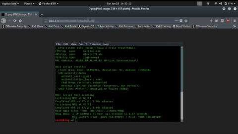 1 Exploit Basic File Upload Vulnerabilities