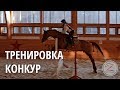 Тренировка конкур в КСК Звёздный