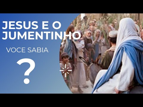 Vídeo: Jesus montou um jumento ou um potro?