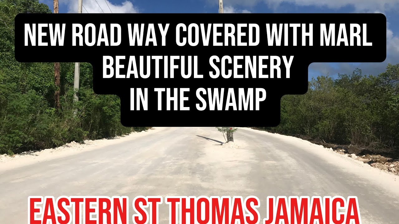 [Чек строит новую дорогу, покрытую мергелем] Красивый пейзаж на болоте.