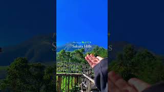 Mengagumi Keindahan Sakura Hills Petualangan Virtual Di Tawangmangu Wisata Virtual Ke Sakura Hills