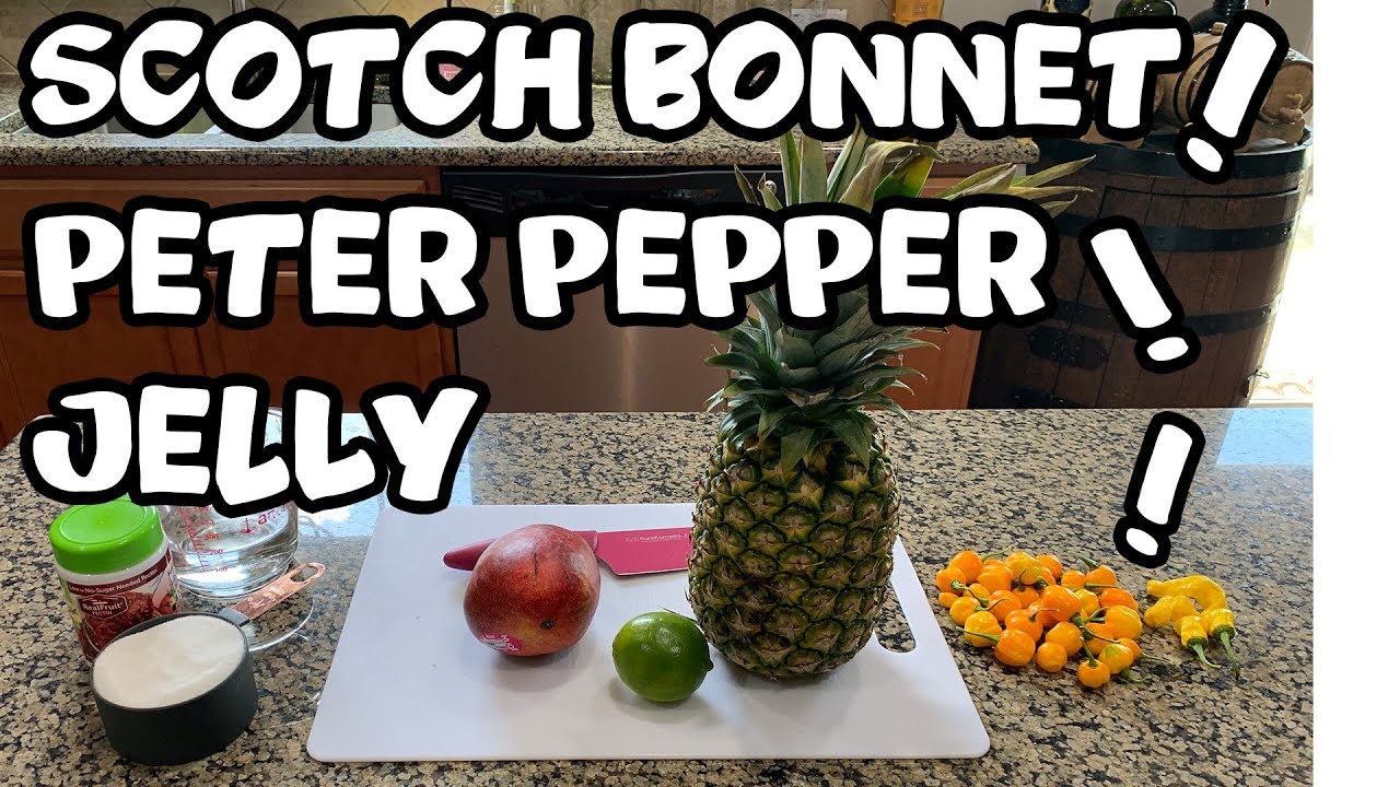 🌶️ How To Scotch Peter Pepper, Mango & Pineapple Jelly 🌶️