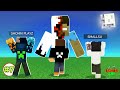 What has come in smp  tamatar smp  f for faizan gaming