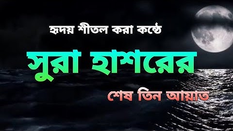 হৃদয় শীতল করা কন্ঠে(سوره الحشر ) এর শেষ তিন আয়াত(Salim Al Ruwaili)