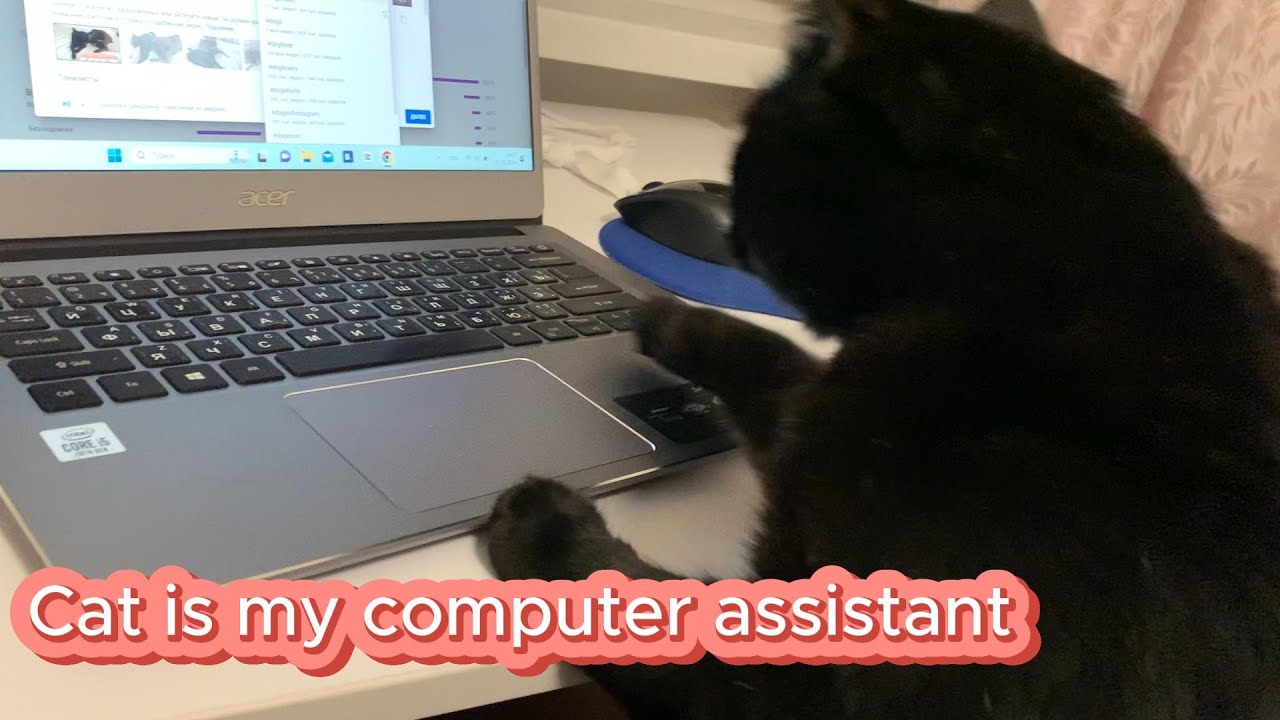 Patric With Computer Cat Patrick is my computer assistant - YouTube