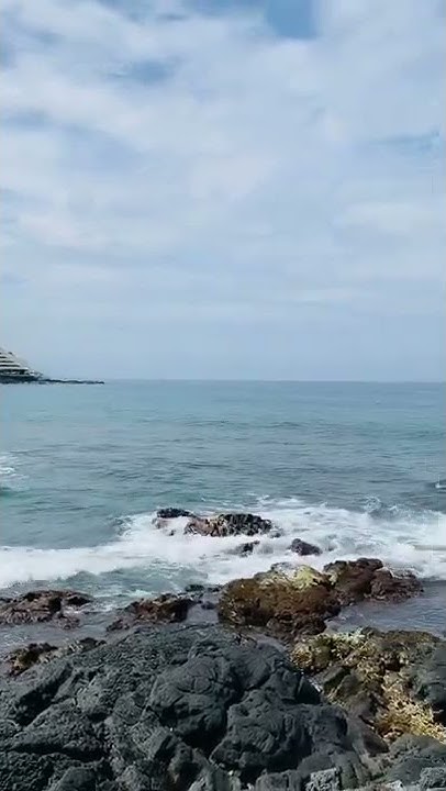 Lealea Hawaii Tv Youtube