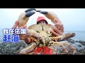 在法国赶海，湿身大战5斤重巨型螃蟹，大钳子够吓人 | 海鲜 | 趕海 | 法国 | 抓螃蟹 | 海边 |