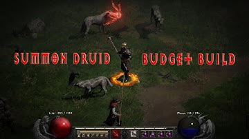 Full Summon Druid Build In Budget Gear - Diablo 2 Resurrected 2.4 PTR