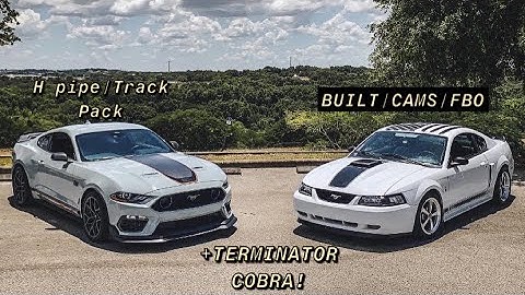 ‘21 Track Pack MACH 1 with my BUILT ‘03 MACH 1 & ‘03 TERMINATOR COBRA