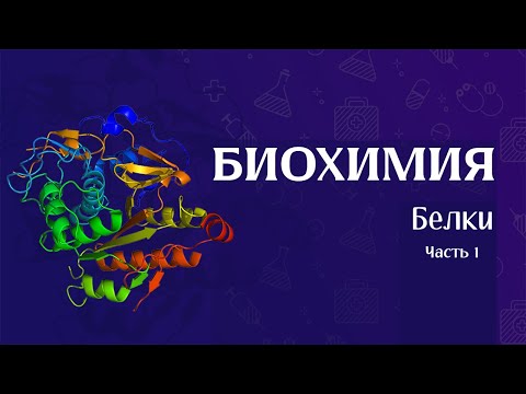 Биохимия | Строение белков часть 1