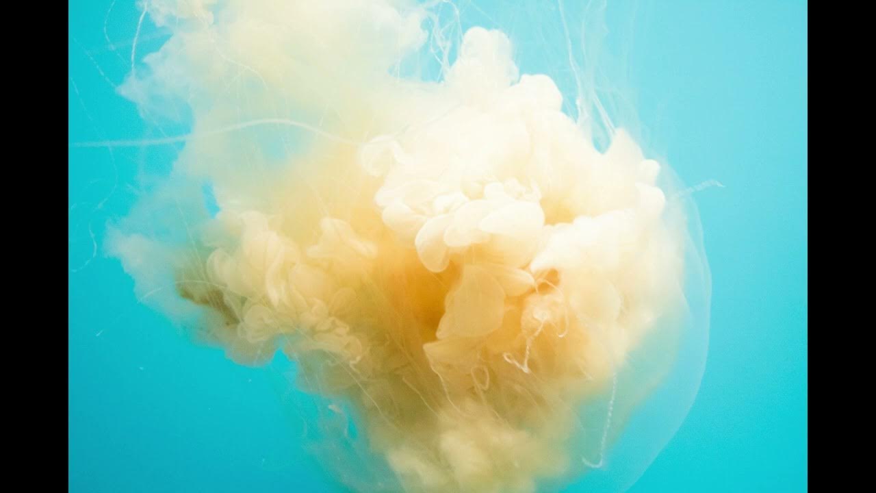 underwater-explosion-rumbling-sound-effect-youtube