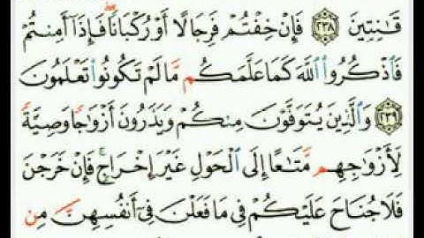 سورة البقرة 240 239 238