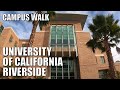 🎓CAMPUS WALK | UC RIVERSIDE | CALIFORNIA