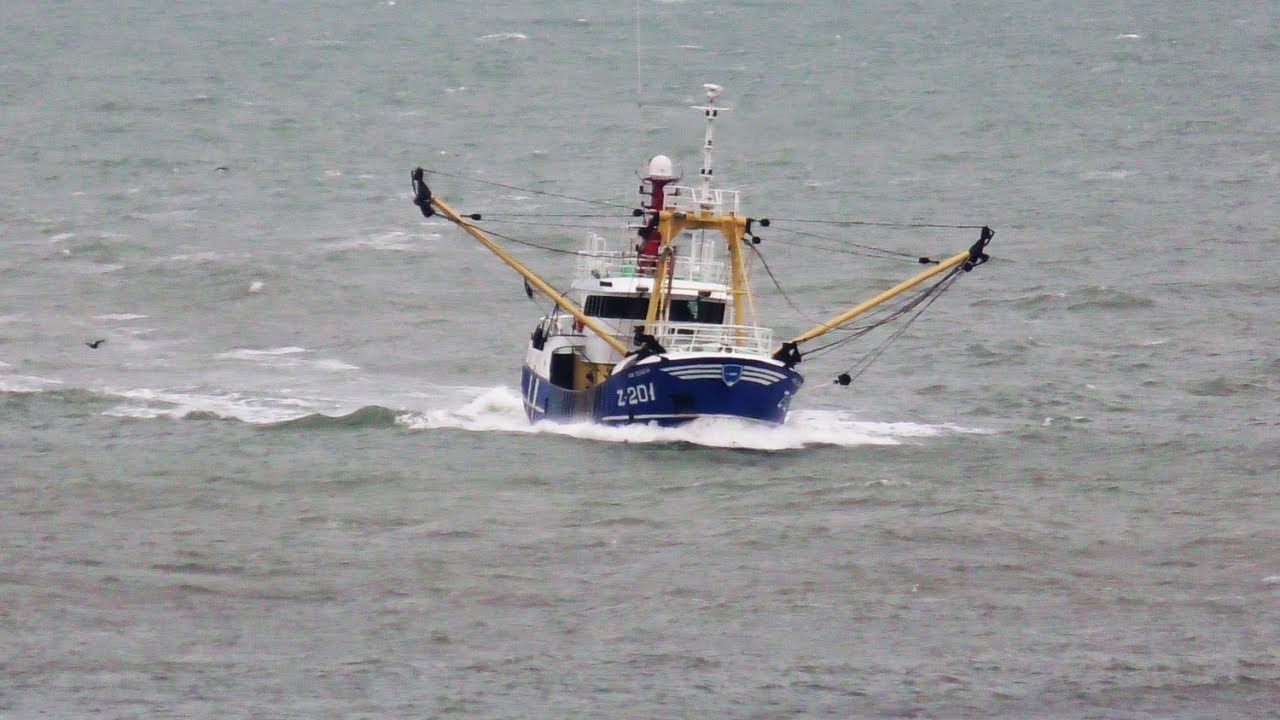 Z201 JOB SENIOR (zeebrugge) aankomst scheveningen 8 6 2017 YouTube