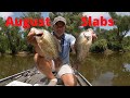 August Crappie Fishing In Louisiana(About the Hottest Summer Bite I Have Ever Seen)