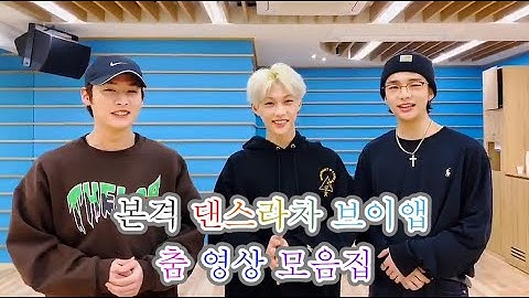 [스트레이키즈] 이거 댄스라차 콘서트냐?!  댄스라차 춤 23곡 모음집