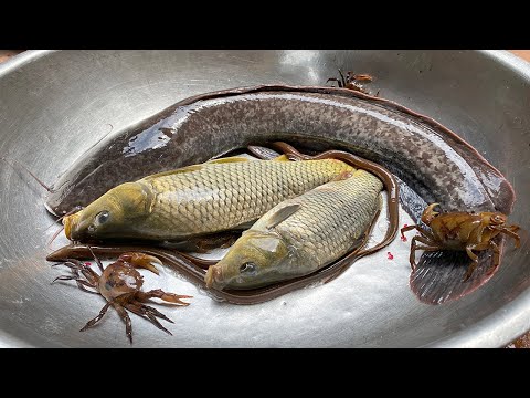 Video Kem Chanel và bạn Thỏ ra bờ ao bắt cá có chiếc rổ thần... - youtube