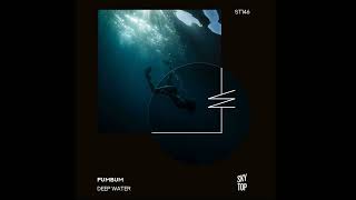 pumbum - Deep Water (Tojogo Remix) [SkyTop]
