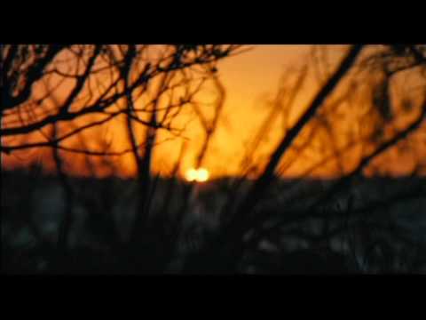 Les condamnés trailer vf