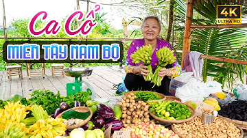 Ca Cổ Miền Tây Hơi Dài Thư Giãn Dễ Ngủ - Ca Cổ Cải Lương Hơi Dài Ru Ngủ Hay Nhất🌾Tân Cổ Dân Ca