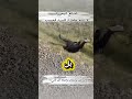صنائع المعروف لا تمنع مصارع السوء فحسب بل ت وقف قطار القدر بأمر م ن وسعت رحمته كل شيء