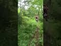庶路ダム登り #hillclimb