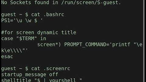 GNU screen dynamic title