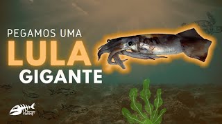 PESCAMOS UMA LULA GIGANTE - PESCA OCEÂNICA