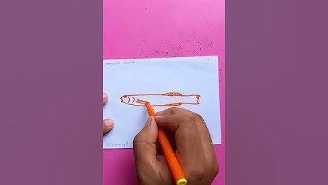 corsula mullet fish | original video tutorials #satisfying #creativeart #drawingforbeginners