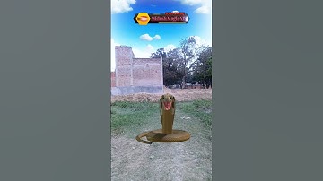 इच्छाधारी नागिन मां और बेटी कहानी🐍🐍#shorts #youtubeshorts #snake #naagin #bhakti #ytshorts