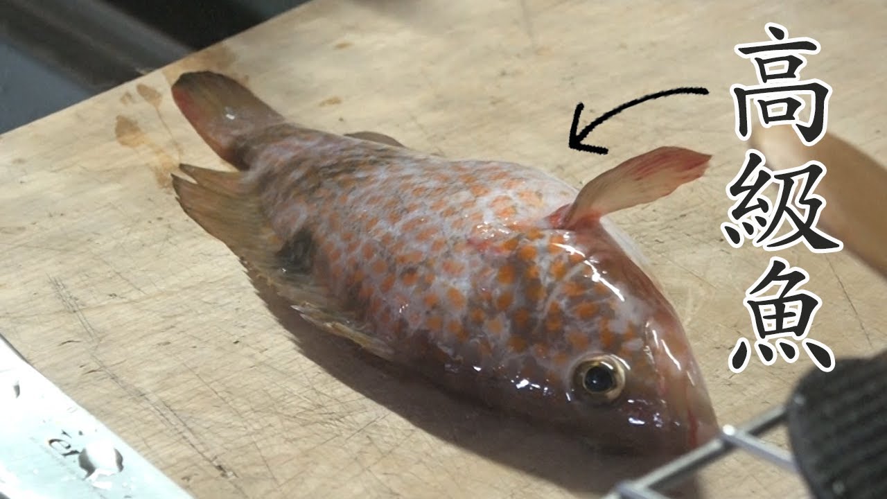 キジハタを刺身で食べる 冬のフグ 夏のキジハタと言われる高級魚 九州名はアコウ Youtube